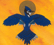 blue jay is by Joanne Oldham