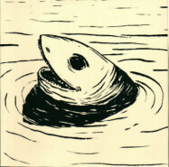 Artwork: Paulo Patrício