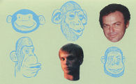 the monkey boys