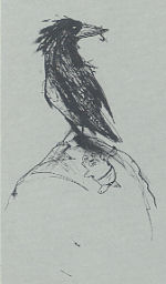 drawings by Sammy Harkham