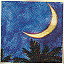 moon by Joanne Oldham